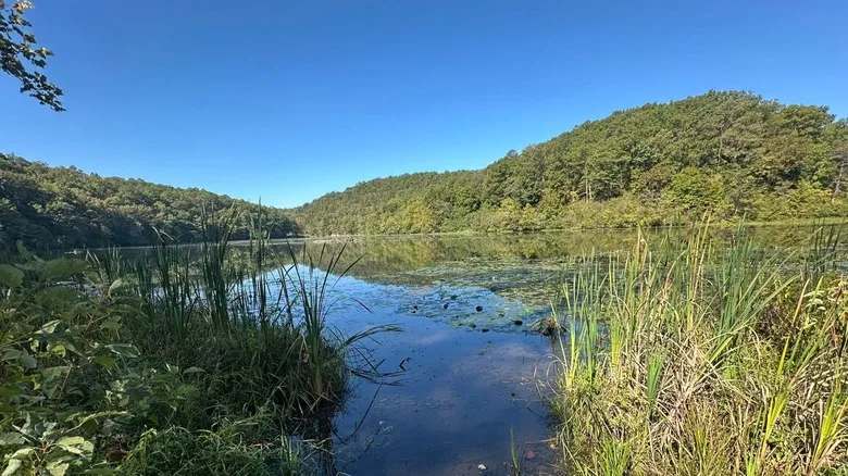 Montauk State Park Missouri scenic river and forest”